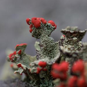 DSCF5182